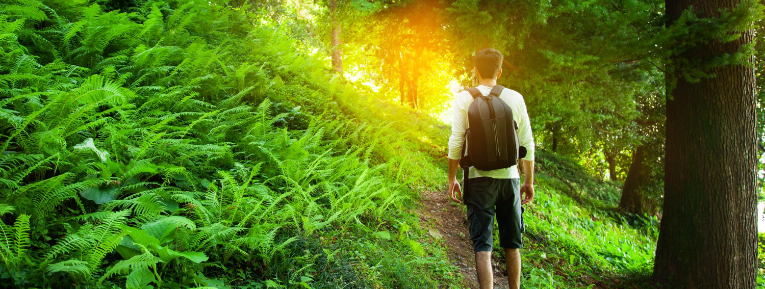 A Path Forward